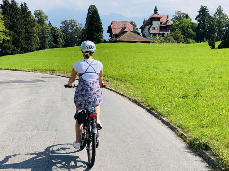 Lake Lucerne Peninsula E-Bike Tour - Logistics