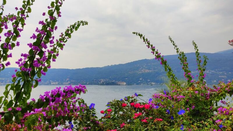 Lake Maggiore: Stresa and Isola Madre Private Tour - Included in the Tour
