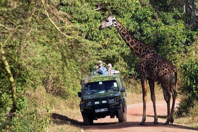 Lake Manyara National Park Full-Day Tour From Arusha - Booking and Availability
