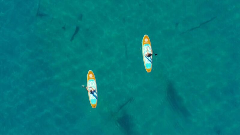 Lake Mead: Stand up Paddle Board Tour to Boulder Island - Key Points