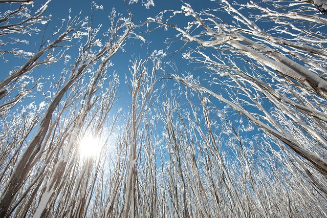 Lake Mountain Snow Trip Including Yarra Valley Chocolaterie From Melbourne - Booking Confirmation