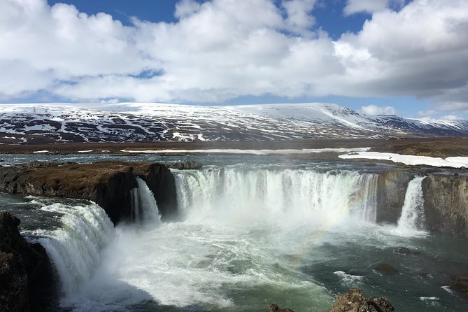 Lake Myvatn, Dettifoss and Goddafoss Waterfalls Day Tour From Akureyri - Small Group Experience