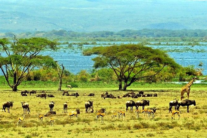 Lake Naivasha Day Tour Including the Crescent Island - Scenic Views of the Great Rift Valley