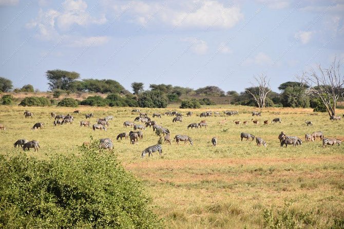 Lake Naivasha Day Tour Including the Crescent Island - Boat Ride on Lake Naivasha