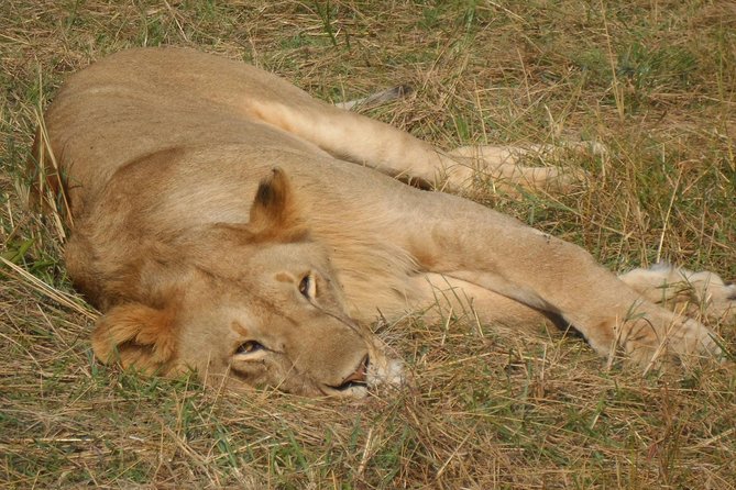 Lake Nakuru National Park Day Tour Via Lake Naivasha - Pickup and Meeting Points