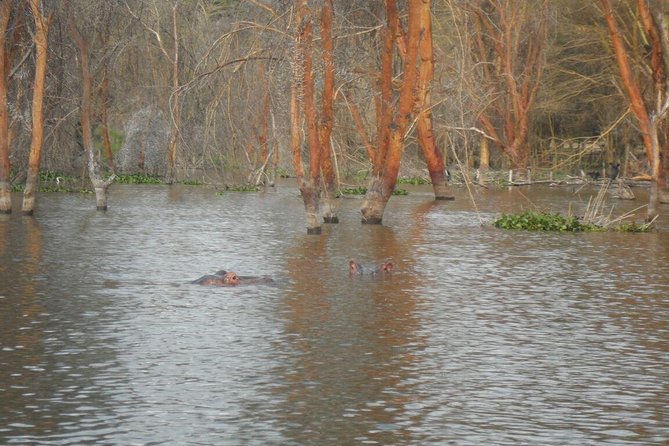 Lake Nakuru National Park Day Tour Via Lake Naivasha - Booking Your Stay