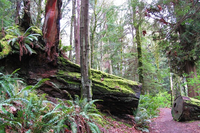 Lake, Old Growth Trees and Columbia City: Beautiful Natural Spaces and History - Meeting and End Points