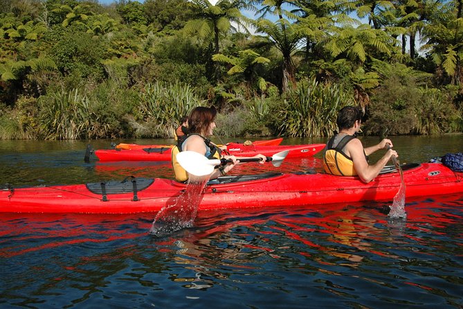 Lake Rotoiti Guided Hot Pools Kayak Trip - Additional Information