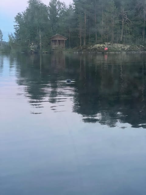 Lake Saimaa Story Cruise by Ecoboat in Puumala - Good To Know