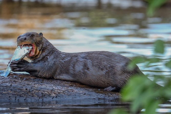 Lake Sandoval National Reserve ,Hiking and Wildlife Search - Trip Details