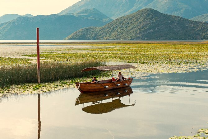 Lake Skadar: Early-morning Birdwatching and Photography Tour - What to Expect
