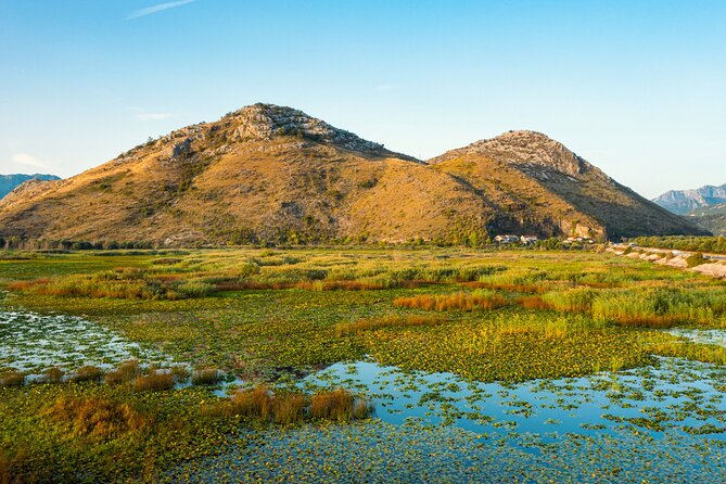 Lake Skadar: Guided Sightseeing Boat Tour With Refreshments - Wildlife and Scenic Views