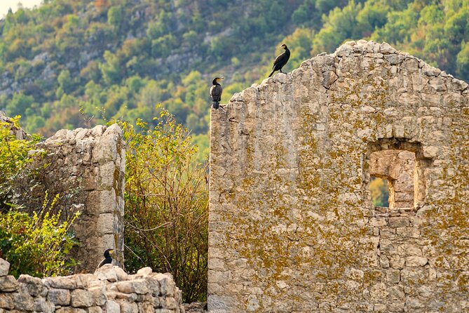 Lake Skadar Guided Tour: Discover the Montenegrin Alcatraz - Booking and Cancellation Details