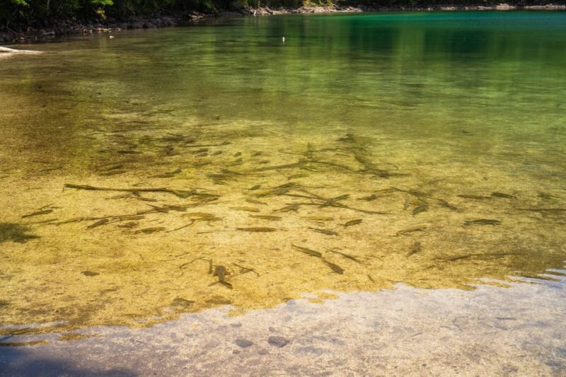 Lake Tachibana: Hike to a Hidden Lake! - Important Considerations and Requirements