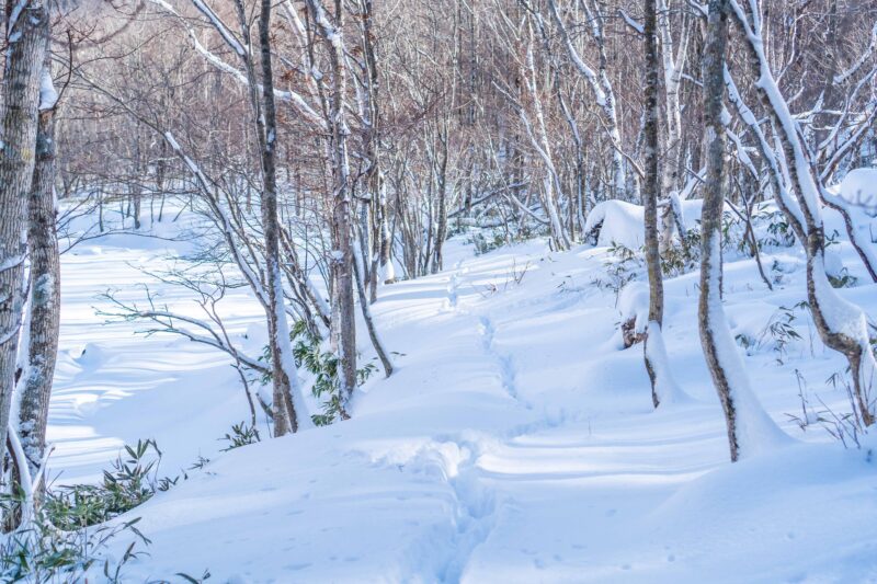 Lake Tachibana Snowshoeing Tour - Physical Requirements