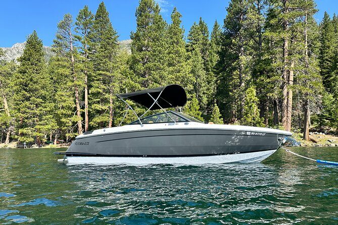Lake Tahoe Boat Tour - Authentic Feedback from Past Guests