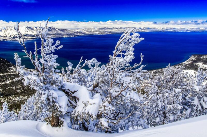 Lake Tahoe: Half-Day Photographic Scenic Tour - Experience Highlights