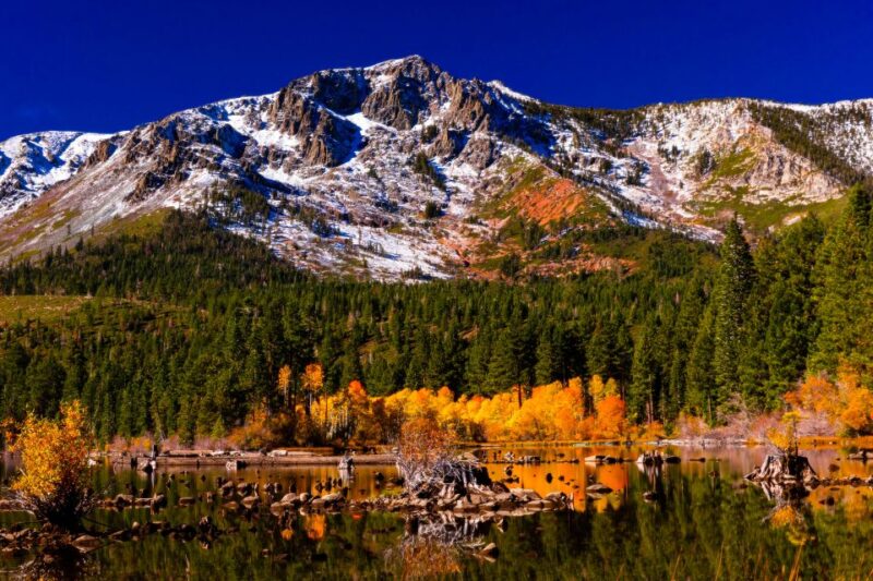 Lake Tahoe: Half-Day Photographic Scenic Tour - Inclusions