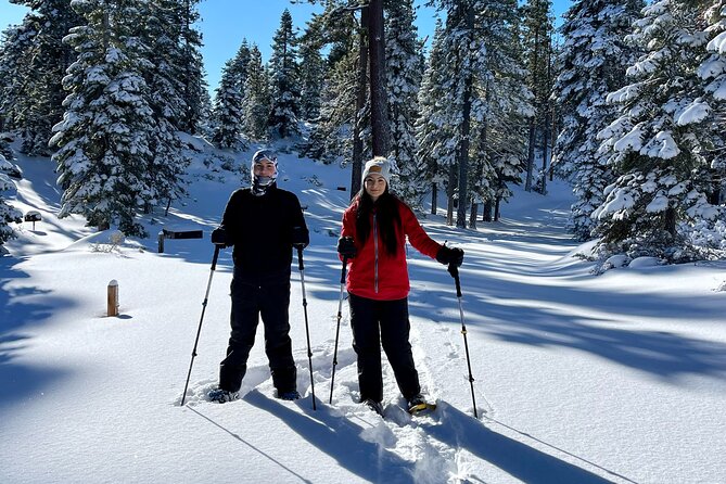 Lake Tahoe-Hike Year Round With a Local - Meeting Point and Parking Information