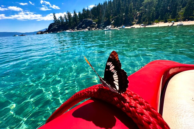 Lake Tahoe Private Boat Charter With Captain - Meeting Point and Arrival Instructions