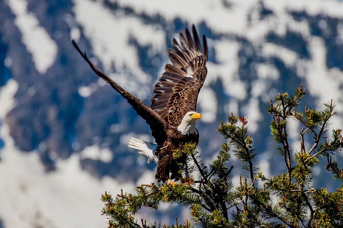 Lake Tahoe Small-Group Photography Scenic Half-Day Tour - Meeting and Pickup