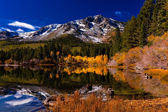 Lake Tahoe Small-Group Photography Scenic Half-Day Tour - Cancellation Policy