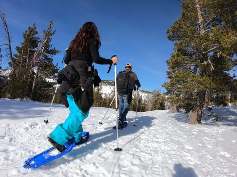 Lake Tahoe: Sunset Snowshoe Trek With Hot Drinks and Snacks - Experience Highlights