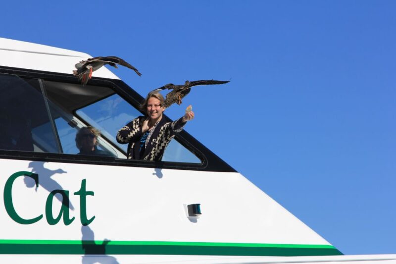 Lake Taupo: 1.5-Hour Maori Rock Carvings 5:00 PM Cruise - Tour Details