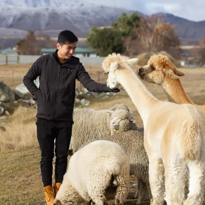 Lake Tekapo: Guided Petting Zoo Visit - FAQs