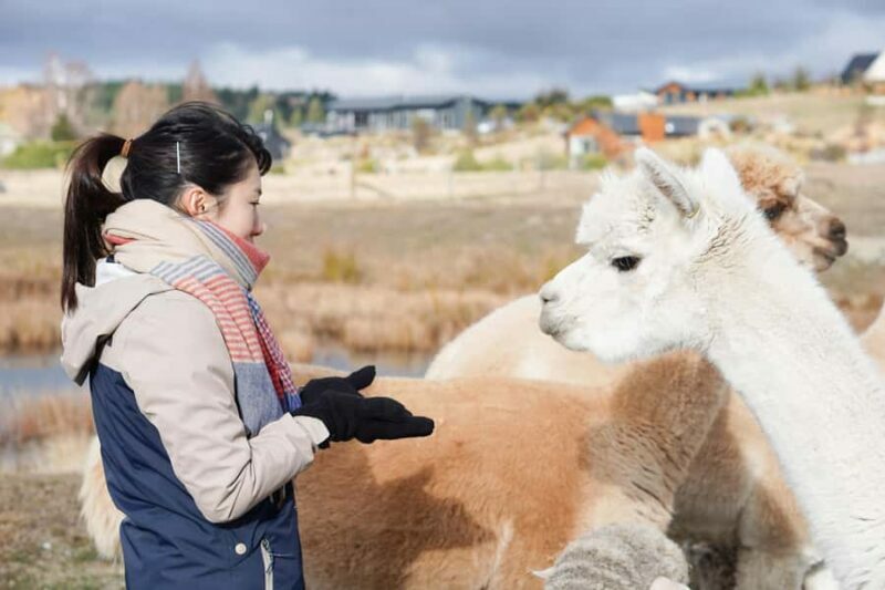 Lake Tekapo High Country Farm Tour (Carbon Positive) - Key Points