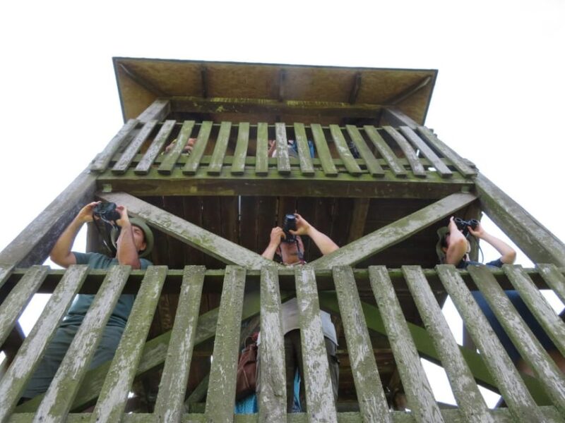 Lake Tisza: Boat Trip in the Bird Paradise - Age and Group Restrictions