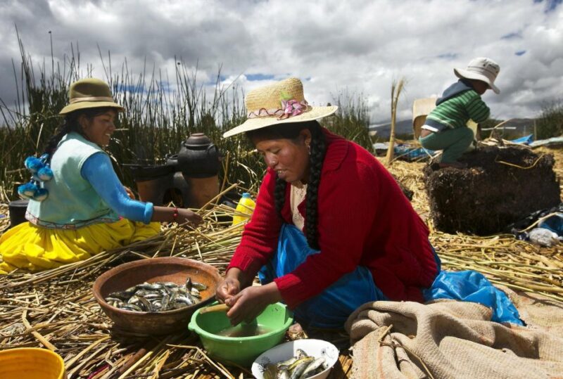 Lake Titicaca, Uros and Taquile Full-Day Tour - Price and Duration