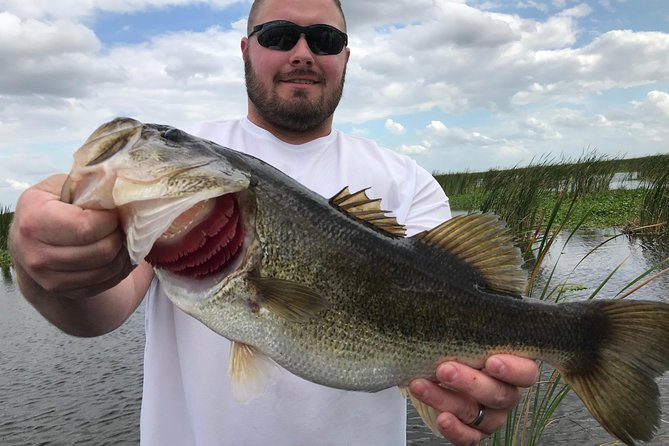 Lake Trafford Fishing Trips Near Naples Florida - Getting to Lake Trafford