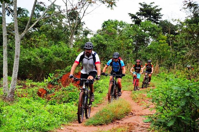 Lake Victoria Island Cycling Tour From Kampala - Key Points