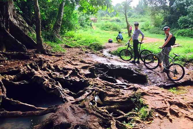 Lake Victoria Island Cycling Tour From Kampala - Traveler Advisories