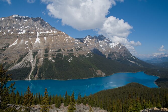 Lake View Full Day Tour-Moraine Lake, Lake Louise, Peyto Lake... - Schedule and Itinerary