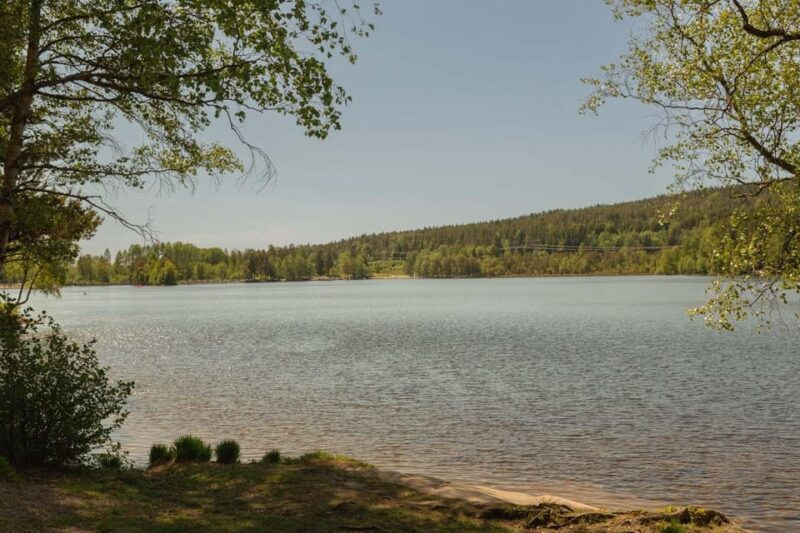 Lake Walk and Campfire Private Tour - Highlights and Experience