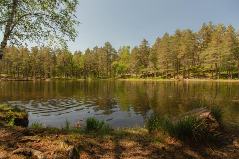 Lake Walk and Campfire - Pricing and Booking