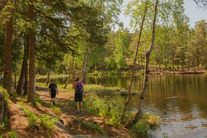 Lake Walk and Campfire - Recap