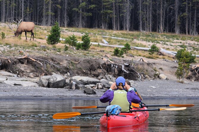 Lake Yellowstone Half Day Kayak Tours Past Geothermal Features - Maximum of 8 Travelers