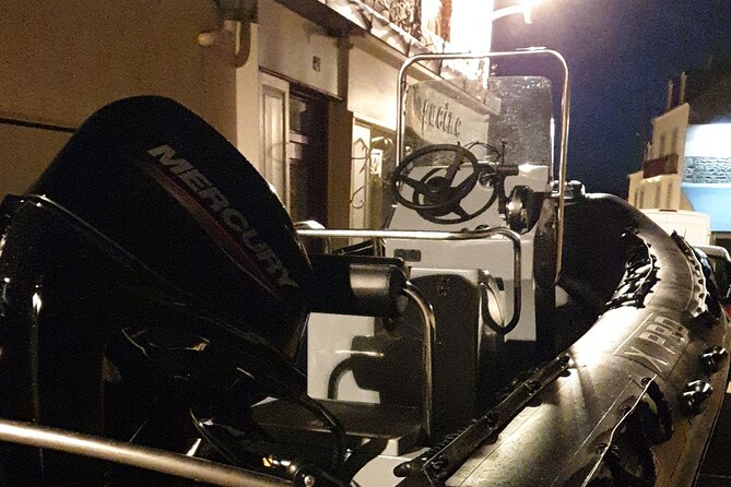 Lake Zurich Mini Boat Tour / by Night! - Meeting and End Point