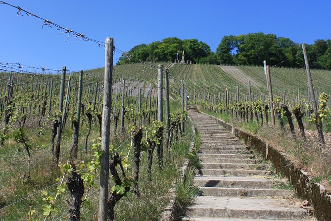 Lakes and Vineyards of Remerschen and Schengen - Key Points