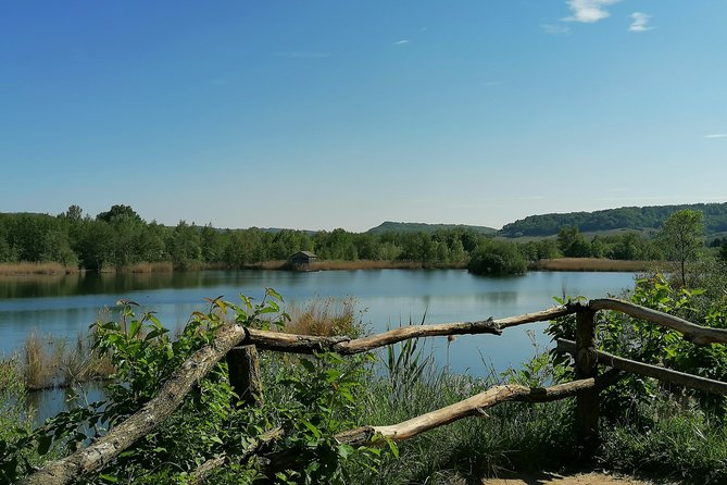 Lakes and Vineyards of Remerschen and Schengen - Reviewing the Tour Experience