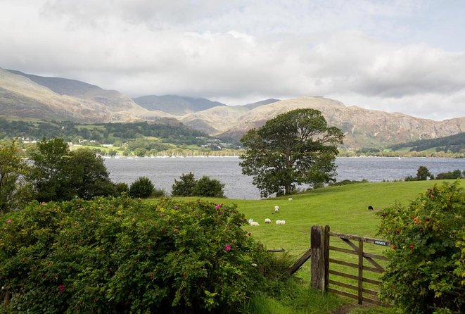 Lakes & Mountains, Spectacular Scenery With an Easy Short Walk - Inclusions