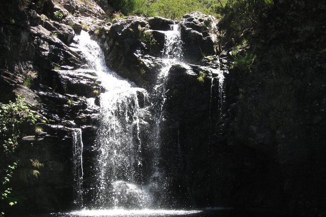 Lakes of Madeira- Alecrim Full Day Walk - Overview