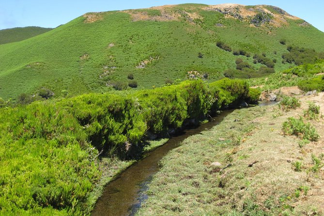 Lakes of Madeira- Alecrim Full Day Walk - Trail Highlights