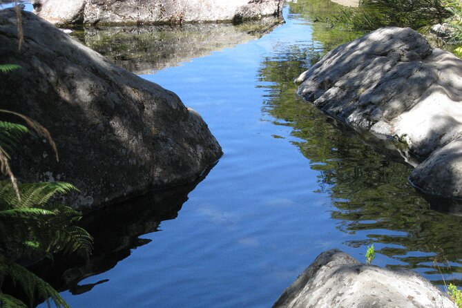 Lakes of Madeira- Alecrim Full Day Walk - Difficulty Level