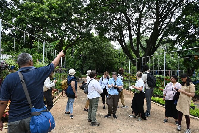 Lalbagh Botanical Garden Early Morning Walk + Breakfast at MTR - Exploring Lalbaghs Diverse Plant Life