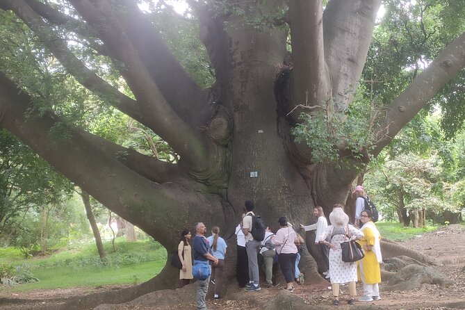Lalbagh Botanical Garden Early Morning Walk + Breakfast at MTR - Positive Reviews and Feedback