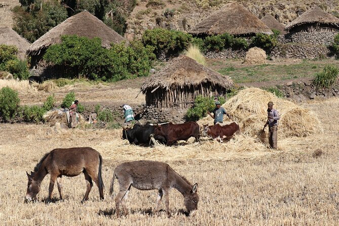 Lalibela 2-Day Eco Trekking Tour - Packing and Preparation Essentials